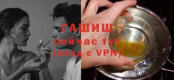 хмурый Алексин