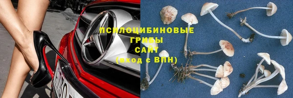 шишки Алзамай