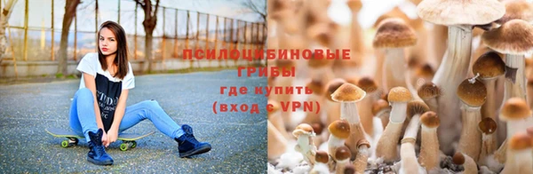метадон Алексеевка