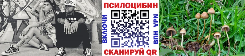 даркнет сайт ОМГ ОМГ ССЫЛКА дарк нет Telegram Невьянск Галлюциногенные грибы Psilocybe