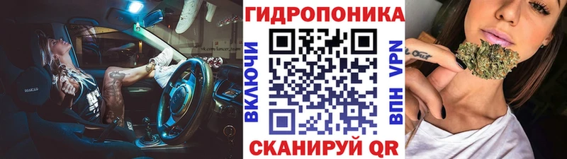 Бошки марихуана MAZAR  omg онион  дарк нет наркотические препараты  Невьянск 